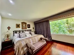 Vista 19