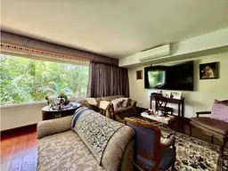 Vista 20