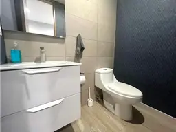 Vista 20