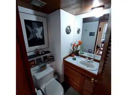 Vista 24