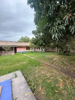 View 13