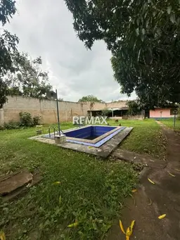 View 14