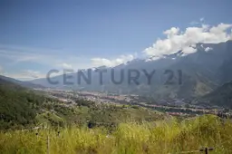 View 12