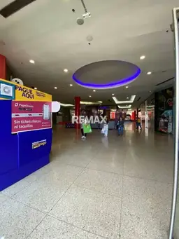 Vista 5