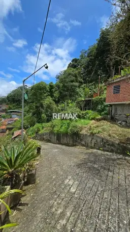 View 19
