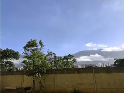 Vista 29