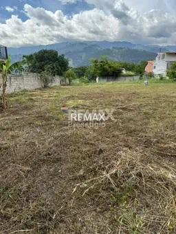 View 2