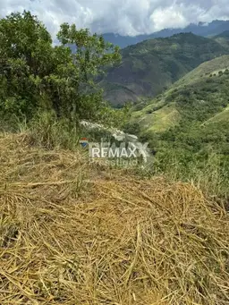 View 6