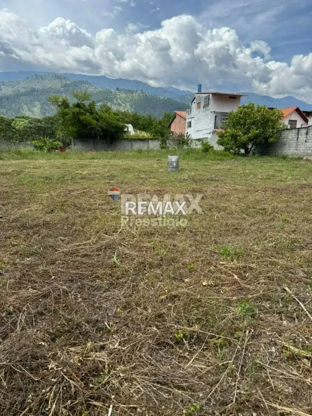 Terreno en Venta - 7