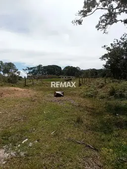 Vista 4