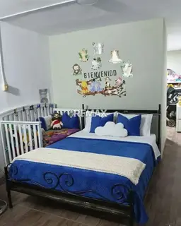Vista 6