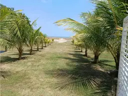 View 16