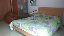 Vista 12