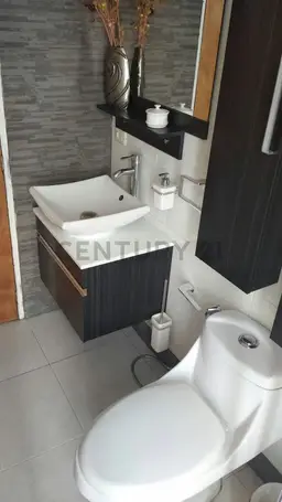 Vista 13