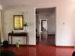 Vista 5