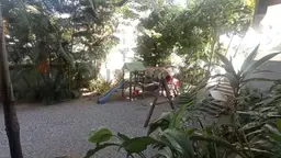Vista 15
