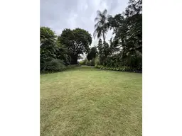 Vista 61