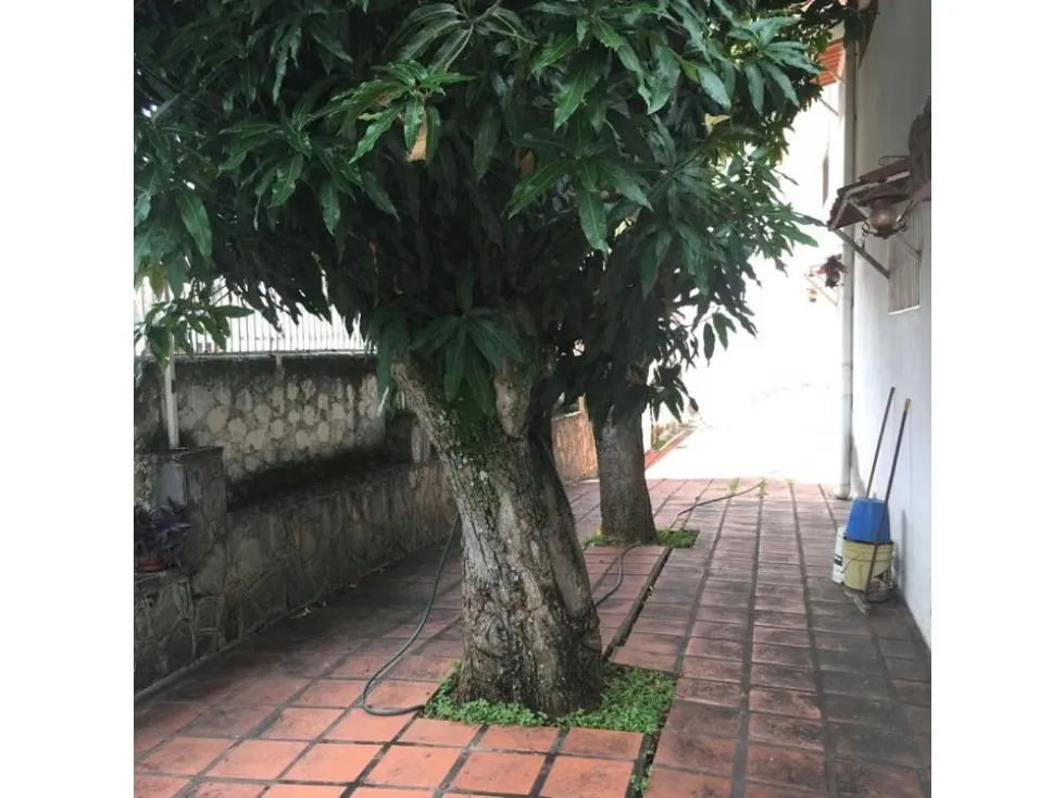 Vendo casa 600m2 Colinas de Bello Monte 4506 - 16