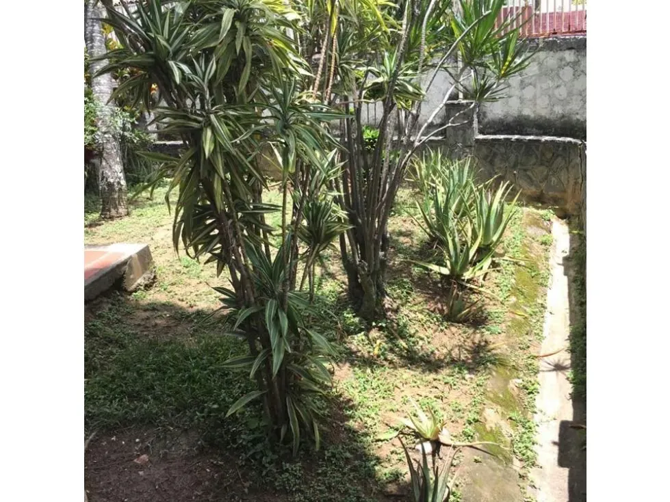 Vendo casa 600m2 Colinas de Bello Monte 4506 - 17