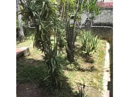 View 17