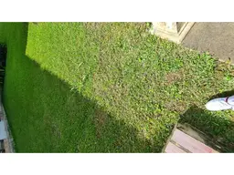 View 26