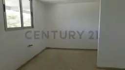 Vista 19
