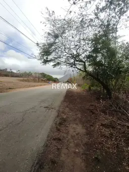 Vista 15