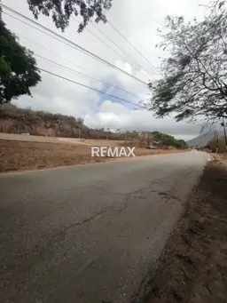 Vista 4