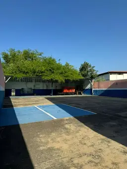 Vista 4