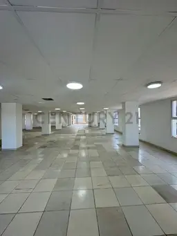 Vista 5