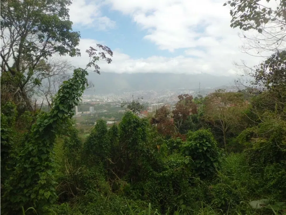 Se vende terreno 1000m2 Alto Hatillo 1827 - 4
