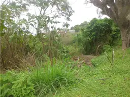 View 8