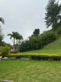 Vista 18