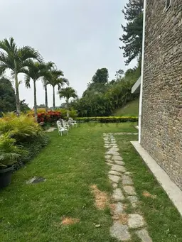 Vista 19