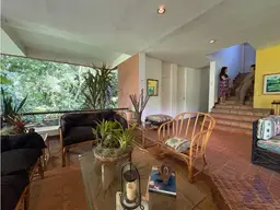 Vista 20