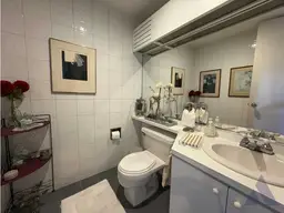 Vista 9