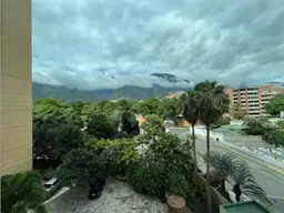 Vista 21