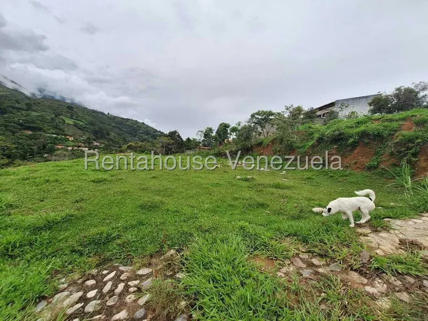 Terreno (Residencial) en Venta en La Joya, Merida - 14