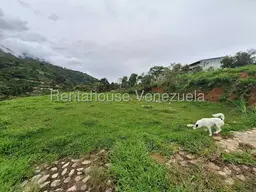 Vista 14