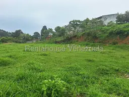 Vista 15