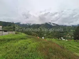 Vista 16