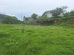 Vista 4