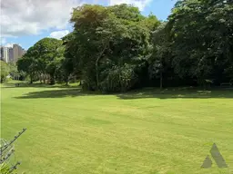 Vista 20