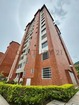 Vista 3