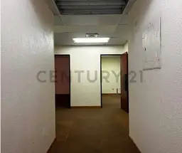 Vista 11