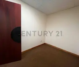 Vista 5