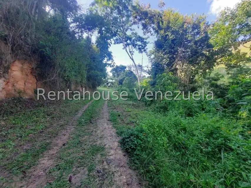 Terreno (Residencial) en Venta en Los Robles, Distrito Metropolitano - 7