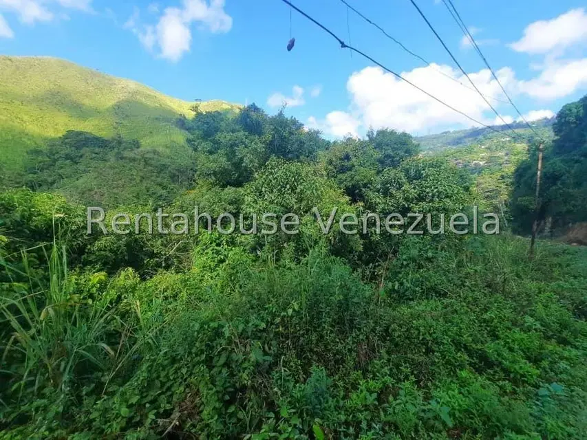 Terreno (Residencial) en Venta en Los Robles, Distrito Metropolitano - 8