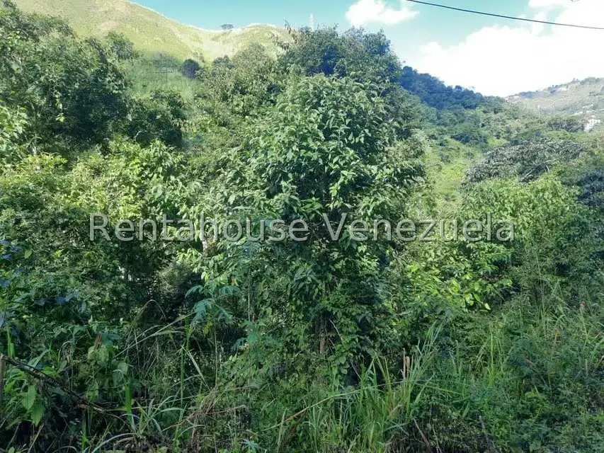 Terreno (Residencial) en Venta en Los Robles, Distrito Metropolitano - 9