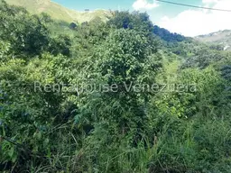 Vista 9